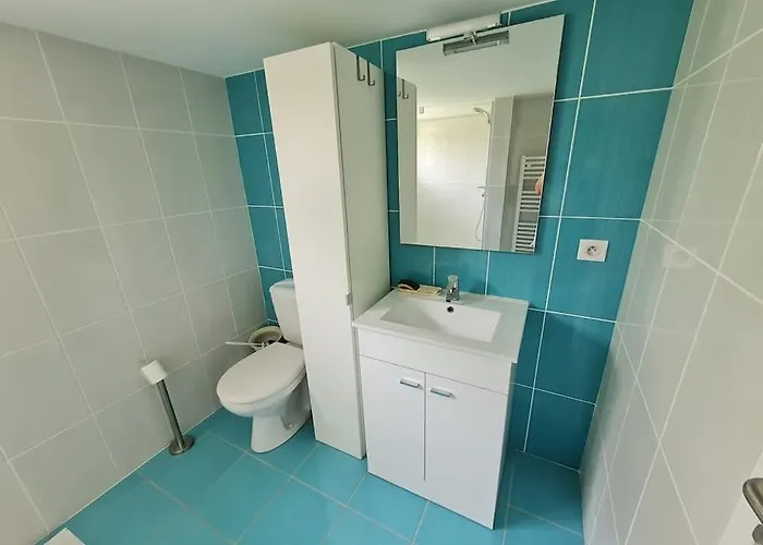 Appt 2 Pieces Avec Jardin Apartamento