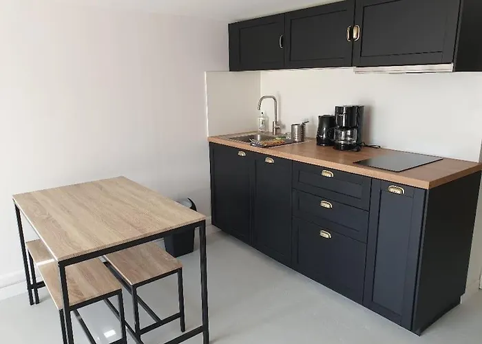 Appt 2 Pieces Avec Jardin *